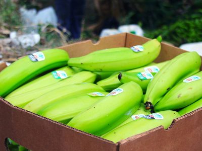 fruits-vegetables-image